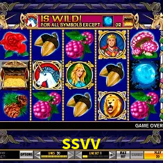 ssvv Brasília - VIP Program